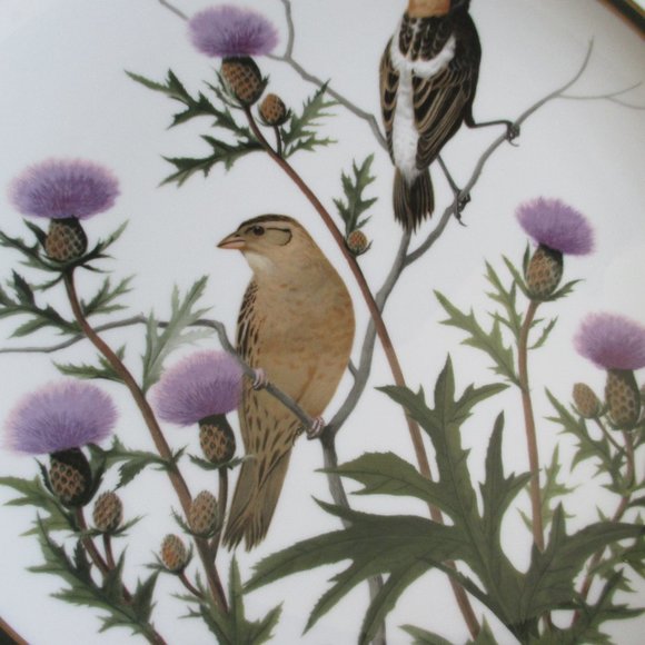 Vtg Franklin Porcelain Songbirds Wedgwood Plate - Picture 6 of 14